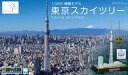 1/3000 情景モデル 東京スカイツリー 組み立て式プラモデル【予約】