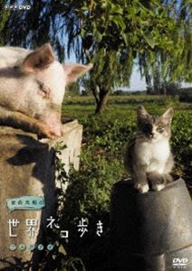 詳しい納期他、ご注文時はお支払・送料・返品のページをご確認ください発売日2015/3/20岩合光昭の世界ネコ歩き ウルグアイ ジャンル 国内TVドキュメンタリー 監督 出演 岩合光昭南米ウルグアイの牧場で「豚と子ネコと牛」が遊ぶスリーショットを撮影。牛も豚もほかの仲間からはぐれたという。子ネコの友だち。南半球は秋を迎え、ぶどう園は収穫期。ぶどうの木は子ネコのジャングルジム!小粒の実は子ネコのおもちゃに!ネコにワンちゃんが退治されちゃう場面も!国土の大半が平たく、牧場というウルグアイ。秋を満喫する子ネコたちは必見。封入特典リーフレット／ポストカード特典映像特典映像関連商品NHKドキュメンタリー岩合光昭の世界ネコ歩き 種別 DVD JAN 4988066209772 収録時間 59分 カラー カラー 組枚数 1 製作年 2014 製作国 日本 音声 DD（ステレオ） 販売元 NHKエンタープライズ登録日2020/12/10