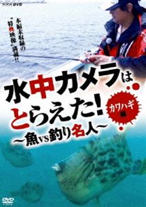 水中カメラはとらえた! 魚VS釣り名人 カワハギ編 [DVD]