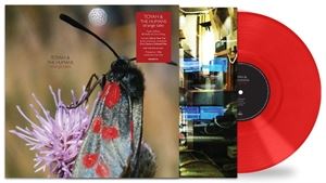 輸入盤 TOYAH ＆ THE HUMANS / STRANGE TALES 