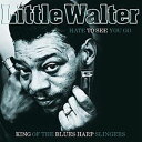 輸入盤 LITTLE WALTER / HATE TO SEE YOU GO KING OF THE BLUES HARP SLINGERS [LP]