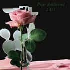 Artist Name: G - ポップ・アンビエント2011 [CD]