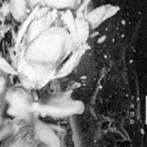 シビリアン センヤソウカ詳しい納期他、ご注文時はお支払・送料・返品のページをご確認ください発売日2021/3/10CIVILIAN / 千夜想歌（通常盤）センヤソウカ ジャンル 邦楽J-POP 関連キーワード CIVILIANCIVILIAN×TVアニメのタッグ真骨頂！本作はアジア大ヒットアニメの日本語吹替版オープニング主題歌！原作はWEB小説『魔道祖師』。現地では、ラジオドラマ、アニメ、漫画、実写ドラマとメディアミックス展開をした超人気コンテンツで、動画再生回数64億回を超え、2019年のWEBドラマ再生回数No．1を記録。水墨画を意識した背景美術に華麗な武闘シーン、古典楽器を用いた音楽などが評判を呼び、2年連続で中国マンガ・アニメーション関連最大のコンペティションである金龍賞のアニメシリーズ最優秀賞を受賞している注目作！　（C）RS通常盤／同時発売初回生産限定盤はSRCL-11640収録曲目11.千夜想歌(4:52)2.千夜想歌 -World Arrange Ver.-(5:43)3.千夜想歌 -Instrumental-(4:51) 種別 CD JAN 4547366491791 収録時間 15分27秒 組枚数 1 製作年 2020 販売元 ソニー・ミュージックソリューションズ登録日2021/01/18