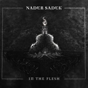 輸入盤 NADER SADEK / IN THE FLESH （COLOURED VINYL） （LTD） [LP]