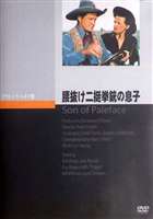 腰抜け二挺拳銃の息子 [DVD]