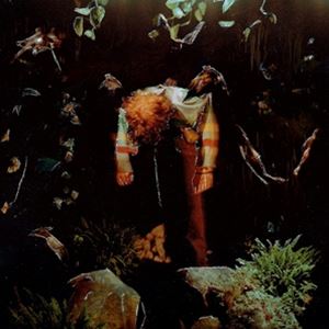 輸入盤 CAVETOWN / WORM FOOD 