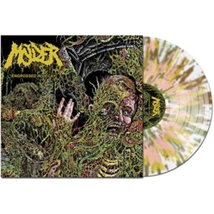 輸入盤 MOLDER / ENGROSSED IN DECAY （COLORED） LP