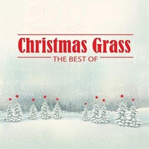 ͢ VARIOUS ARTISTS / CHRISTMAS GRASS THE BEST OF GREEN [LP]