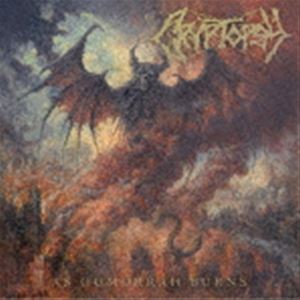 クリプトプシー アズ ゴモラ バーンズ詳しい納期他、ご注文時はお支払・送料・返品のページをご確認ください発売日2023/9/8クリプトプシー / アズ・ゴモラ・バーンズアズ ゴモラ バーンズ ジャンル 洋楽ハードロック/ヘヴィメタル 関連キーワード クリプトプシー｀1994年のデビュー以来、その圧倒的なテクニックと獰猛さでデス・メタル界を牽引してきたカナダ出身のクリプトプシーが、2012年の『クリプトプシー』以来11年ぶり／通算8作目のオリジナル・フル・アルバムをドロップ。猛者揃いのデス・メタル界のミュージシャンの中でも、ひときわそのテクニックに注目が集まるクリプトプシー。中でも、フロ・モーニエのドラミングは世界最速と言われるほど。フロ・モーニエ　（drums）、マット・マギャキー　（vocals）、クリスチャン・ドナルドソン　（guitars）、オリヴィエ・ピナール　（bass）。本作は、世界で最も巨大なメタル専門レーベルである＜Nuclear　Blast＞と契約しての第1弾アルバム。　（C）RSオリジナル発売日：2023年9月8日封入特典解説歌詞対訳付収録曲目11.ラシヴィアス・アンディヴァイン(3:50)2.イン・アベイアンス(2:55)3.ゴッドレス・ディシーヴァー(3:40)4.イル・エンダー(4:19)5.フレイド・ザ・スワイン(4:25)6.ザ・ライチャス・ロスト(4:15)7.オベイサント(3:54)8.プレイズ・ザ・フィルス(5:51) 種別 CD JAN 4988002932818 収録時間 33分12秒 組枚数 1 製作年 2023 販売元 ビクターエンタテインメント登録日2023/07/13