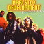 ͢ ARRESTED DEVELOPMENT / GREATEST HITS [CD]