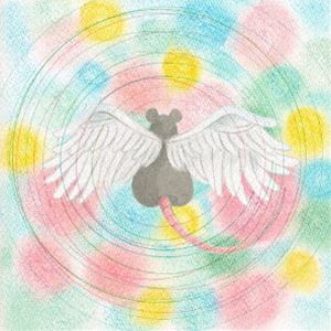 メイ・シモネス / アニマル [CD]