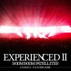 ブンブンサテライツ / EXPERIENCEDII-EMBRACE TOUR 2013 武道館-（通常盤／CD＋DVD） [CD]