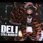 DELI / STILL BURNIN’ [CD]