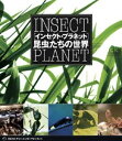 詳しい納期他、ご注文時はお支払・送料・返品のページをご確認ください発売日2008/2/22インセクト・プラネット 昆虫たちの世界 ジャンル 趣味・教養カルチャー／旅行／景色 監督 出演 地球上でもっとも多くの種を持ち、さまざまな生態を有する昆虫を高精度映像と音楽に乗せて紹介するDVD。｢進化の森　コノハのささやき｣｢進化の森　ハナビラは風にゆれて｣｢草原の音楽隊　秋を奏でる昆虫たち｣ほか、不思議な世界と生態を描いた全5編を収録。収録内容「進化の森コノハのささやき」「進化の森ハナビラは風にゆれて」「草原の音楽隊秋を奏でる昆虫たち」「大地の家族クロオオアリと共生する昆虫たち」「星屑の川せせらぎに舞うホタルの光」 種別 DVD JAN 4582117825838 収録時間 72分 カラー カラー 組枚数 1 製作年 2007 製作国 日本 音声 リニアPCM（ステレオ） 販売元 ワック登録日2007/10/10