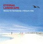 Skoop On Somebody＋織田哲郎 / ETERNAL LANDSCAPE [CD]