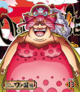 ONE PIECE ԡ 20TH ι piece.13 [Blu-ray]