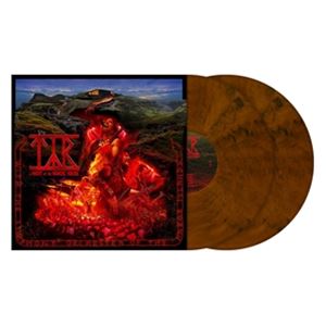 輸入盤 TYR / NIGHT AT THE NORDIC HOUSE （COLOURED VINYL） [2LP]