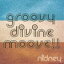 nidney / groovy divine moove!! [CD]