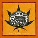 BLACK POWER FLOWER詳しい納期他、ご注文時はお支払・送料・返品のページをご確認ください発売日2021/2/19BRANT BJORK AND THE LOW DESERT PUNK BAND / BLACK POWER FLOWERブラント・ビージョーク・アンド・ロウ・デザート・パンク・バンド / ブラック・パワー・フラワー ジャンル 洋楽ハードロック/ヘヴィメタル 関連キーワード ブラント・ビージョーク・アンド・ロウ・デザート・パンク・バンドBRANT BJORK AND THE LOW DESERT PUNK BAND収録内容1. Controllers Destroyed2. We Don’t Serve Their Kind3. Stokely up Now4. Buddha Time （Everything Fine）5. Soldier of Love6. Boogie Woogie on Your Brain7. Ain’t No Runnin’8. That’s a Fact Jack9. Hustler’s Blues10. Where You from Man 種別 CD 【輸入盤】 JAN 0840588122875登録日2020/09/29