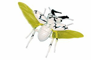 ͳ楷꡼ No.2201 ȥ 塞ॷ 쥭󥰻 ץǥ