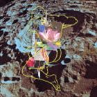 ヒラサワススム バーチュアル ラビット詳しい納期他、ご注文時はお支払・送料・返品のページをご確認ください発売日2014/9/24関連キーワード：Virtual Rabbit ヴァーチュアルラビット バーチュアルラビット アルバム 平沢初期ソロ3部作平沢進 / ヴァーチュアル・ラビット（SHM-CD）バーチュアル ラビット ジャンル 邦楽クラブ/テクノ 関連キーワード 平沢進マッド・サイエンシスト平沢進が織り成す、“夢”の世界を探し求める音楽の旅。科学と音楽が融合するその先を、平沢は追究し常に新しい展開を見せてくれる。最高傑作と言われる「バンディリア旅行団」を収録した作品。　（C）RSSHM-CD／2014年デジタルリマスタリング／1991年作品収録曲目11.嵐の海(3:33)2.バンディリア旅行団(5:00)3.我が心の鷲よ 月を奪うな［プラネット・イーグル］(3:31)4.ヴァーチュアル・ラビット(3:13)5.UNDOをどうぞ(4:09)6.山頂晴れて(4:11)7.静かの海(3:27)8.死のない男(2:57)9.太陽の木(5:56)10.ロシアン・トビスコープ(1:54)▼お買い得キャンペーン開催中！対象商品はコチラ！関連商品平沢進 CD 種別 CD JAN 4988005844897 収録時間 37分56秒 組枚数 1 製作年 2014 販売元 ユニバーサル ミュージック登録日2014/07/15