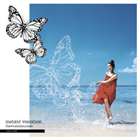 the★tambourines / instant vacation [CD]