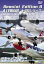 Special Edition 8 AIRBUS A-330シリーズ [DVD]