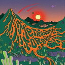 輸入盤 METRONOMY / METRONOMY FOREVER （COLLECTOR EDITION） [2LP]