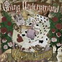 Perpetual Dreamer / Going Unde...