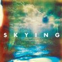 輸入盤 HORRORS / SKYING [CD]