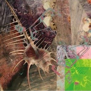 メルツバウ グロン レッスン詳しい納期他、ご注文時はお支払・送料・返品のページをご確認ください発売日2021/6/18MERZBOW / Groon Lessonグロン レッスン ジャンル イージーリスニングヒーリング/ニューエイジ 関連キーワード MERZBOWオリジナル発売日：2021年6月18日※こちらの商品はインディーズ盤のため、在庫確認にお時間を頂く場合がございます。 種別 CD JAN 4562293383926 組枚数 1 製作年 2021 販売元 インパートメント登録日2021/05/10