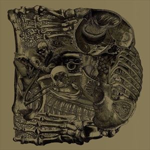 Artist Name: L - 輸入盤 BORIS / DEAR （DIG） [CD]