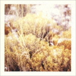 Rakuten - マミファー / ザ・ブリリアント・テイバーナクル [CD]