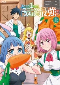 レベル1だけどユニークスキルで最強です 上巻 初回生産限定アウター仕様 [Blu-ray]