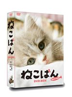 連続テレビドラマ ねこばん DVD-BOX [DVD]