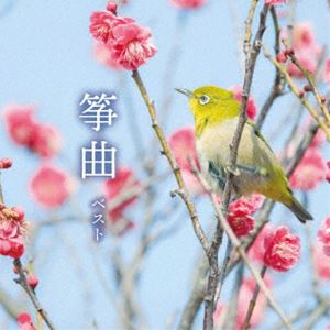 ソウキョク ベスト詳しい納期他、ご注文時はお支払・送料・返品のページをご確認ください発売日2025/5/14（伝統音楽） / KING BEST SELECT LIBRARY 決定版：：筝曲 ベストソウキョク ベスト ジャンル 学芸・童謡・純邦楽純邦楽 関連キーワード （伝統音楽）安藤政輝（箏）広門貞雄（尺八）中能島慶子（箏、箏替手）中能島弘子（箏）米川敏子［初代］（唄、箏、三弦）米川恵美（唄、箏替手）米川裕枝（米川敏子［二代］）（箏）おなじみのジャンル別定番商品＜キング・ベスト・セレクト・ライブラリー＞の2025年版が登場！「春の海」をはじめとする箏曲の名曲をお楽しみください。　（C）RS旧品番：KICW-7000封入特典解説歌詞付収録曲目11.春の海(7:07)2.春日詣(12:11)3.千鳥の曲(13:44)4.六段 （モノラル）(6:23)5.臼の声(12:14)6.八千代獅子(7:35)7.乱 （乱輪舌）(7:44) 種別 CD JAN 4988003644970 収録時間 67分01秒 組枚数 1 製作年 2025 販売元 キングレコード登録日2025/01/20