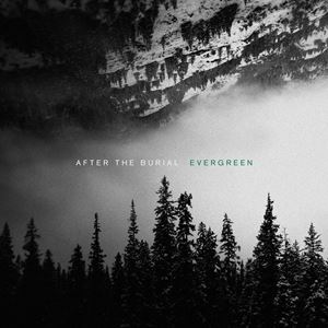 ͢ AFTER THE BURIAL / EVERGREEN [LP]
