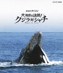 NHKスペシャル 大海原の決闘! クジラ対シャチ [Blu-ray]
