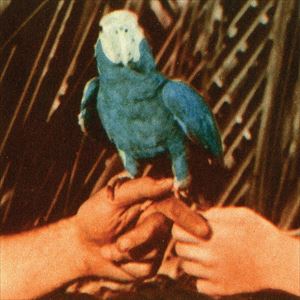 輸入盤 ANDREW BIRD / ARE YOU SERIOUS CD