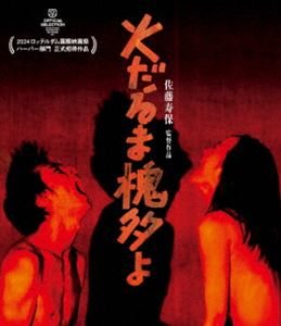 火だるま槐多よ [Blu-ray]