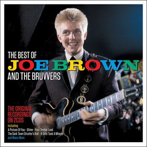 輸入盤 JOE BROWN ＆ THE BRUVVERS / BEST OF [2CD]