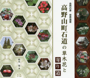 高野山町石道の草木花と寄り道 自然の扉世界遺産