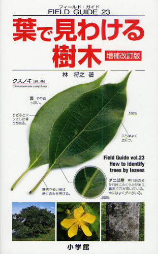 葉で見わける樹木