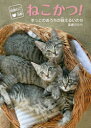 保護ねこ活動ねこかつ! ずっとのおうちが救えるいのち