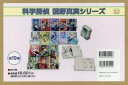 科学探偵謎野真実シリーズ 19巻セット