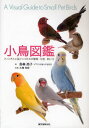 小鳥図鑑 フィンチと小型インコたちの種類・羽色・飼い方