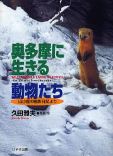 奥多摩に生きる動物たち 山小屋の撮影日記より