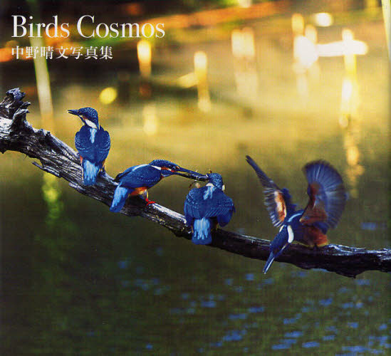 Birds Cosmos 쐰ʐ^W