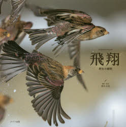  쐶̏u the flying birds photographs