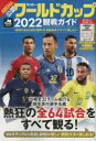 サッカー・ワールドカップ2022観戦ガイド （BIGMANスペシャル）